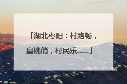 湖北枣阳：村路畅，皇桃俏，村民乐……