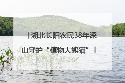 湖北长阳农民38年深山守护“植物大熊猫”
