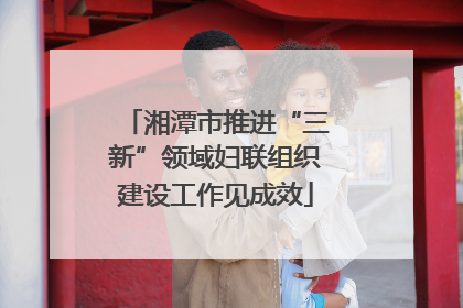 湘潭市推进“三新”领域妇联组织建设工作见成效
