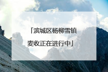 滨城区杨柳雪镇麦收正在进行中