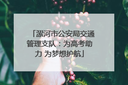 漯河市公安局交通管理支队：为高考助力 为梦想护航