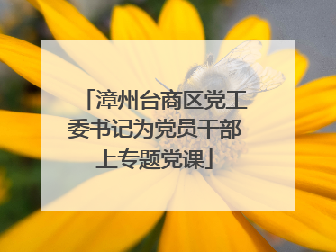 漳州台商区党工委书记为党员干部上专题党课