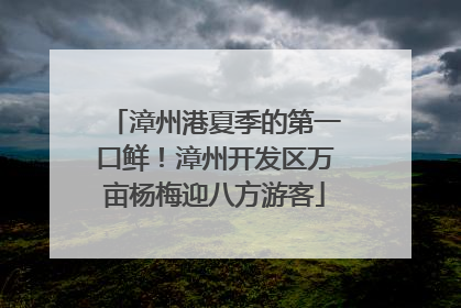 漳州港夏季的第一口鲜！漳州开发区万亩杨梅迎八方游客