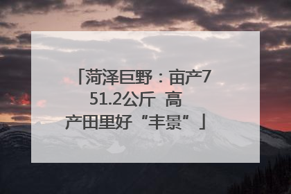 菏泽巨野：亩产751.2公斤  高产田里好“丰景”