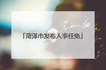 菏泽市发布人事任免