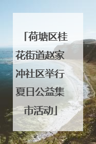荷塘区桂花街道赵家冲社区举行夏日公益集市活动