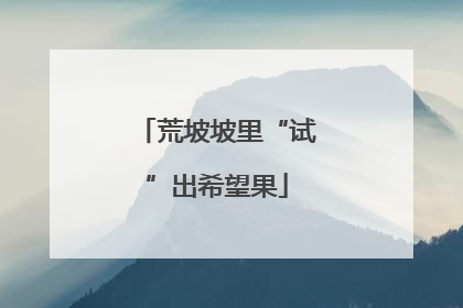 荒坡坡里“试”出希望果