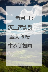 老河口：汉江荷韵引翠来 初夏生态美如画