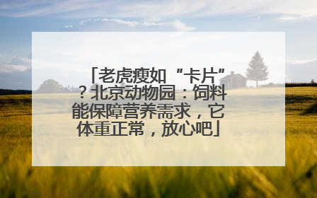 老虎瘦如“卡片”？北京动物园：饲料能保障营养需求，它体重正常，放心吧