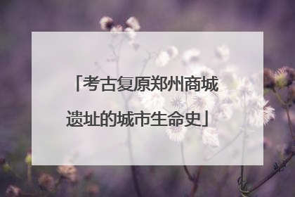 考古复原郑州商城遗址的城市生命史
