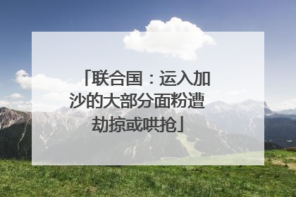 联合国：运入加沙的大部分面粉遭劫掠或哄抢