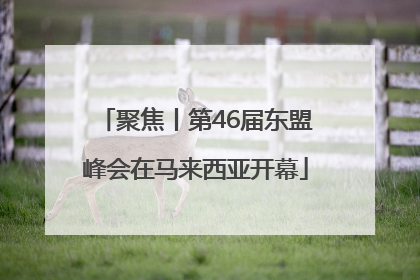 聚焦丨第46届东盟峰会在马来西亚开幕
