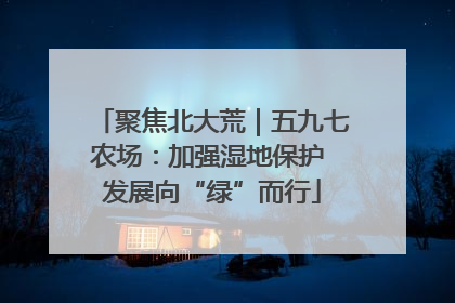 聚焦北大荒｜五九七农场：加强湿地保护 发展向“绿”而行