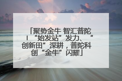 聚势金牛 智汇普陀〡“始发站”发力、“创新田”深耕，普陀科创“金牛”闪耀