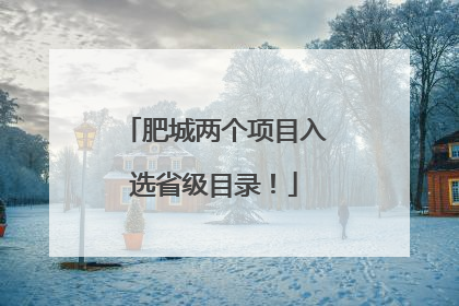 肥城两个项目入选省级目录！