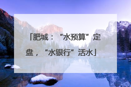肥城：“水预算”定盘，“水银行”活水