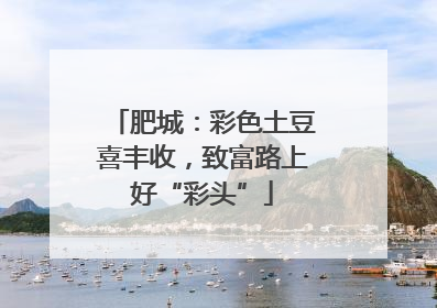 肥城：彩色土豆喜丰收，致富路上好“彩头”
