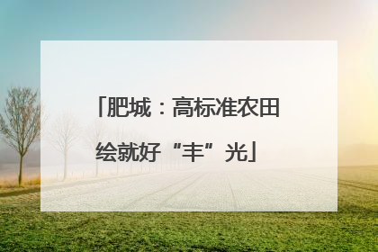 肥城：高标准农田绘就好“丰”光