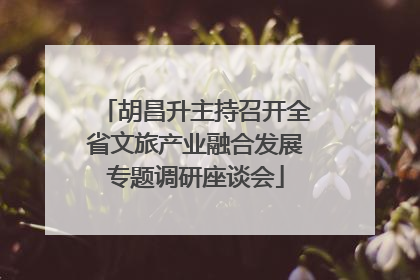 胡昌升主持召开全省文旅产业融合发展专题调研座谈会