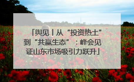 舆见丨从“投资热土”到“共赢生态”：峰会见证山东市场吸引力跃升
