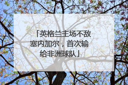 英格兰主场不敌塞内加尔，首次输给非洲球队