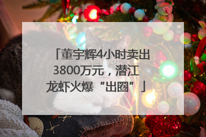 董宇辉4小时卖出3800万元，潜江龙虾火爆“出圈”