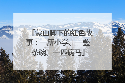 蒙山脚下的红色故事：一所小学、一盏茶碗、一匹病马