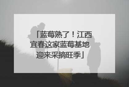 蓝莓熟了！江西宜春这家蓝莓基地迎来采摘旺季