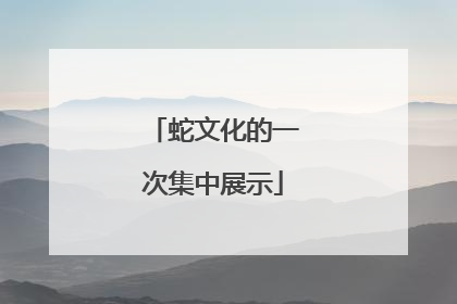 蛇文化的一次集中展示