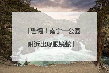 警惕！南宁一公园附近出现眼镜蛇