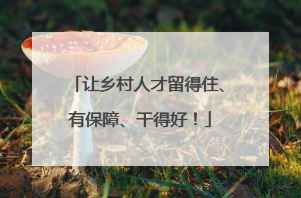 让乡村人才留得住、有保障、干得好！