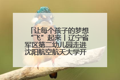 让每个孩子的梦想“飞”起来丨辽宁省军区第二幼儿园走进沈阳航空航天大学开展爱国主义教育