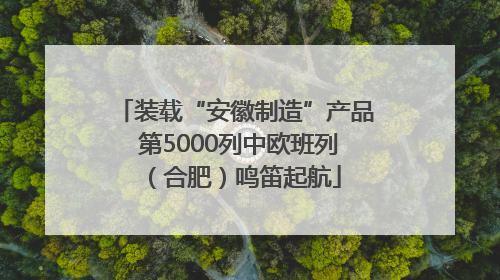装载“安徽制造”产品 第5000列中欧班列（合肥）鸣笛起航