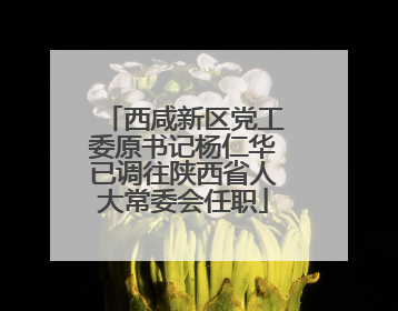 西咸新区党工委原书记杨仁华已调往陕西省人大常委会任职
