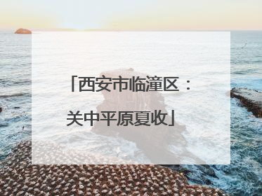 西安市临潼区：关中平原夏收