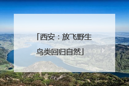 西安：放飞野生鸟类回归自然