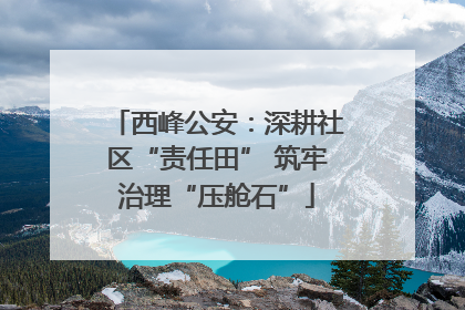 西峰公安：深耕社区“责任田” 筑牢治理“压舱石”