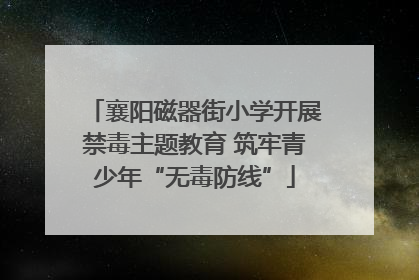 襄阳磁器街小学开展禁毒主题教育 筑牢青少年“无毒防线”