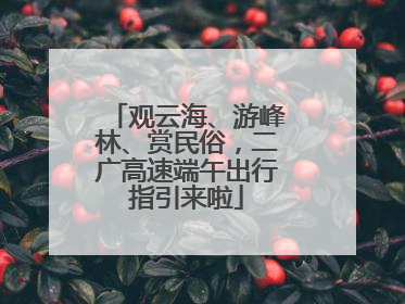 观云海、游峰林、赏民俗，二广高速端午出行指引来啦