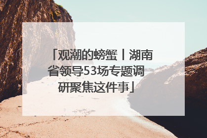 观潮的螃蟹丨湖南省领导53场专题调研聚焦这件事