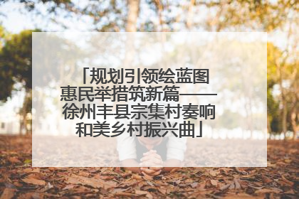 规划引领绘蓝图 惠民举措筑新篇——徐州丰县宗集村奏响和美乡村振兴曲