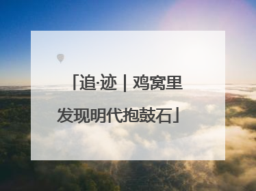 追·迹｜鸡窝里发现明代抱鼓石