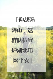 迎战强降雨，这群队伍守护湖北电网平安