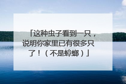 这种虫子看到一只，说明你家里已有很多只了！（不是蟑螂）