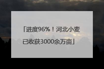进度96%！河北小麦已收获3000余万亩