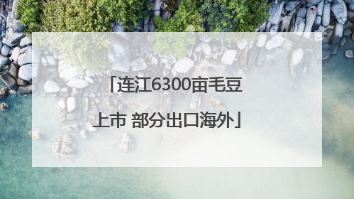 连江6300亩毛豆上市 部分出口海外