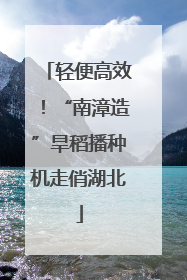 轻便高效！“南漳造”旱稻播种机走俏湖北