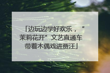 边玩边学好欢乐，“茉莉花开”文艺直通车带着木偶戏进贾汪