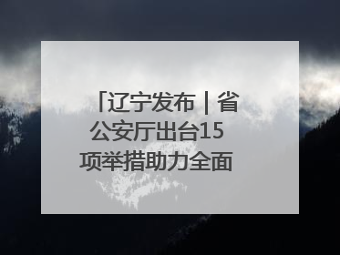 辽宁发布｜省公安厅出台15项举措助力全面振兴新突破三年行动决胜之战