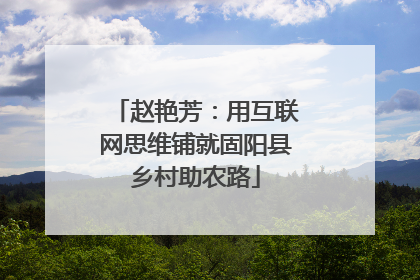 赵艳芳：用互联网思维铺就固阳县乡村助农路